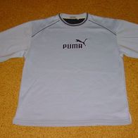 PUMA Sweatshirt Gr L SWEAT SHIRT SKATER Gangster Hellblau