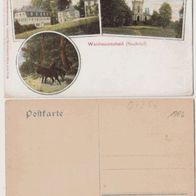 Saaldorf-Bad-Lobenstein Jagdschloss Waidmannsheil Litho-AK 1906 mit Jagdmotiv Erh.1