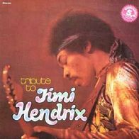 Live Experience Band - Tribute To Jimi Hendrix Vol.1 -12" LP- Metronome Perl Serie(D)