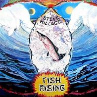 Steve Hillage - Fish Rising - 12" LP - Virgin VIL 12031 (IT) 1975 Gong