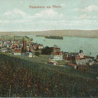 alte AK Rüdesheim Rhein vor 1945, Blick auf den Ort, Rheinpanorama