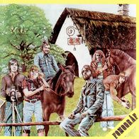 Fonograf - Utkozben country prog glam rock LP Steve Harley Be Bop Deluxe