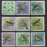 012) Polen 1966 Vögel Mi. Nr. 1718/26 kpl. Satz gestempelt