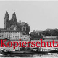 Foto Binnenschiff, Elbe Magdeburg, Dampfschlepper Alfred, Dampfer, Schlepper