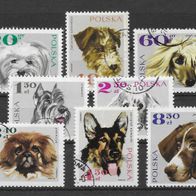 028) Polen 1969 Hunde Mi. Nr. 1898/905 kpl. Satz gestempelt