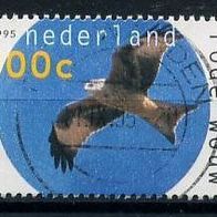 Niederlande Mi. Nr. 1551 Natur und Umwelt: Greifvögel o <