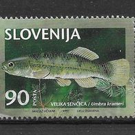 003) Slowenien 1997 Fische Mi. Nr. 181 gestempelt