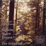 7"ORCHESTER RUDY BAUER · Daheim in den Bergen (RAR 1977)