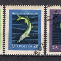 Polen 1958 Edle Fische MiNr. 1051 - 1055 gestempelt