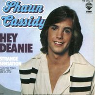 7 Vinyl Shaun Cassidy / Hey Deanie