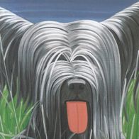 Alex Katz - orig. sign. Kunst-AK (7967)