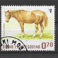 001) Bosnien-Herzegowina 2007 Pferde Mi. Nr. 472 gestempelt
