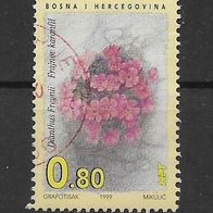 016) Bosnien-Herzegowina (Kroatische Post) 1999 Pflanzen Mi. Nr. 52 gestempelt