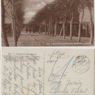 Winterberg-Foto-AK-1913 Sporthotel Waldhaus mit Skiläufer, Erh.1