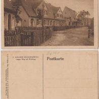Zschornewitz-Kolonie-AK-um-1929 Langer Weg mit Waldweg, Erh.1
