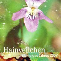 Hainveilchen