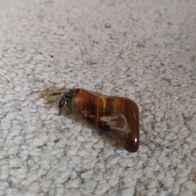 Tigerauge gefasst mit Öse