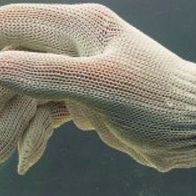 Neu Filetierhandschuh Wallerhandschuh Cormoran Einheitgröße Hecht Wels Handschuh