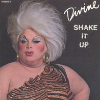 7 Vinyl Divine / Shake it up