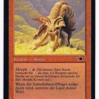 4x "Schieferhaut-Pflüger", Common aus "Legionen", Erhaltung siehe Text