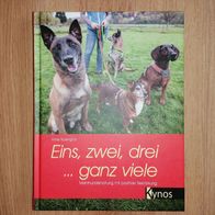Eins, zwei, drei ... ganz viele Mehrhundehaltung Anne Rosengrün Hundebuch