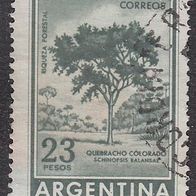 Argentinien 707 O #042191
