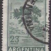 Argentinien 707 O #042192