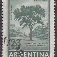 Argentinien 707 O #042193