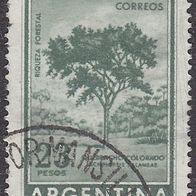 Argentinien 707 O #042194