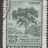 Argentinien 707 O #042196