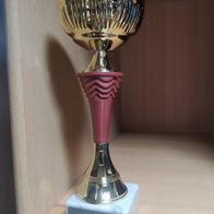 Pokal im Bogenschiessen : Ochsenbacher Kibanneleturnier 2001