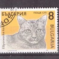 Bulgarien Michel Nr. 3810 gestempelt (5)