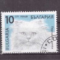 Bulgarien Michel Nr. 3812 gestempelt (3)