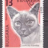 Bulgarien Michel Nr. 3813 gestempelt (3)