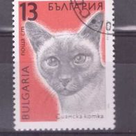 Bulgarien Michel Nr. 3813 gestempelt (4)