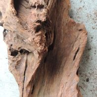 Große Mangroven Wurzel 47x25x25 cm Dekoration für Aquarium + Terrarium Neu