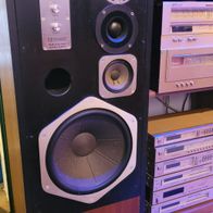 Schöne Marantz HD880 Hifi Lautsprecher Boxen