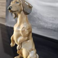 Dackel Figur von Rosenthal ca. 12 cm Classic Rose Collection, Dachshund