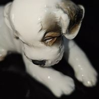 Liegender Terrier von Th. Kärner, Rosenthal Model Nr 1123 / 1930 Rarität!