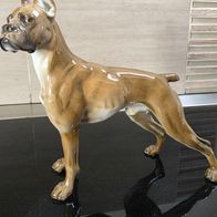 Hundefigur Boxer stehend von Rosenthal 19 cm Höhe, Th. Kärner, wie NEU