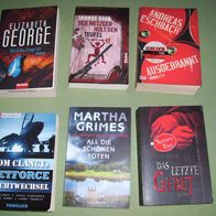 6x Buch Bücher Thriller E. George/T. Clancys/A. Eschbach/T. Raab/Gear&Gear/M. Grimes