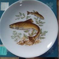 Neu Wandschmuck Wandteller Fischmotiv Vohenstrauss Germany Forelle Barsch Brasse
