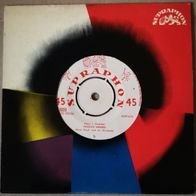 Fred Frohberg & Karel Vlach Orchestra Pinguin Mambo / Melodie D´Amour 1959 single 7"
