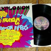 Buddahs HIT Explosion 12“ Sampler LP mit OHIO Express LEMON PIPERS von 1968