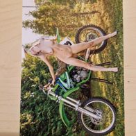 Ästhetisches Erotikfoto, Aktfoto 10x15cm Repro Top Qualität! 121