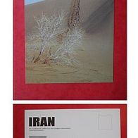 IRAN, Maranjab Dessert / Bildkarte - neuwertig - (D-H-A5-60) + 2 / Bike-Motiv