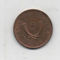 Münze Uganda 5 Cent 1966