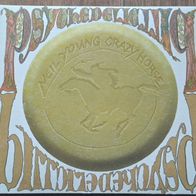 Psychedelic Pill" Neil Young 2CD / Folk Rock / Singer / Songwriter -Album ! TOP