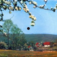 Colorvox Tonbildkarte Dr Vugelbeerbaam, A. Günther/Schreyer, Geschw. Caldarelli