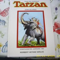 Tarzan Sonntagsseiten Jahrgang 1963